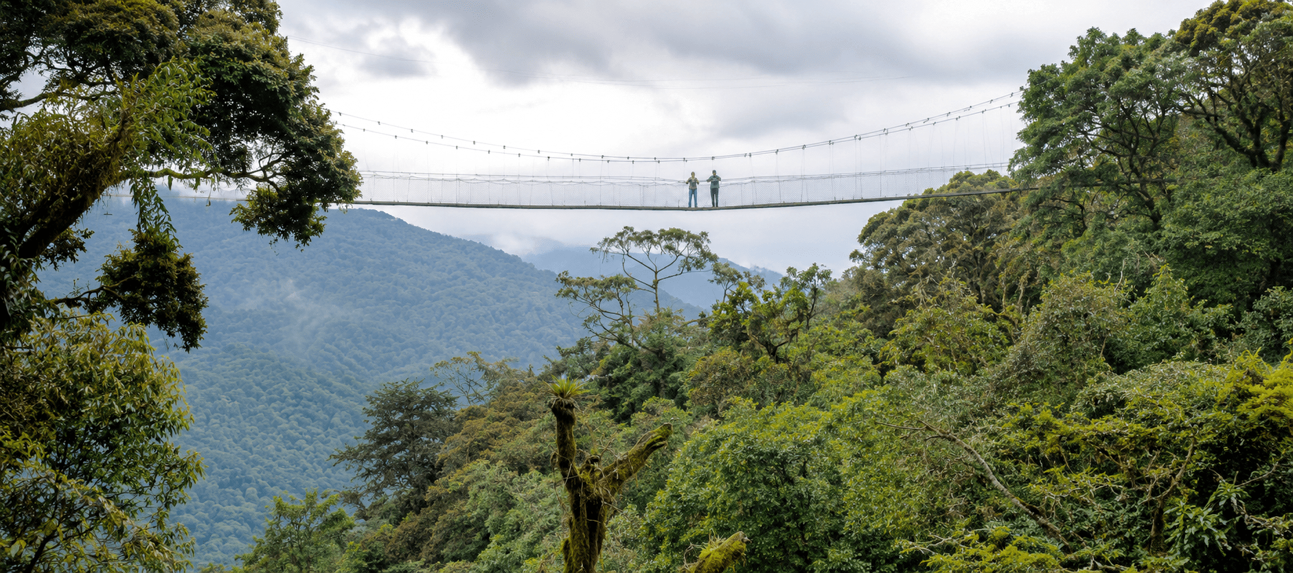 image_nyungwe_forest_national_park_native_expeditions_uganda