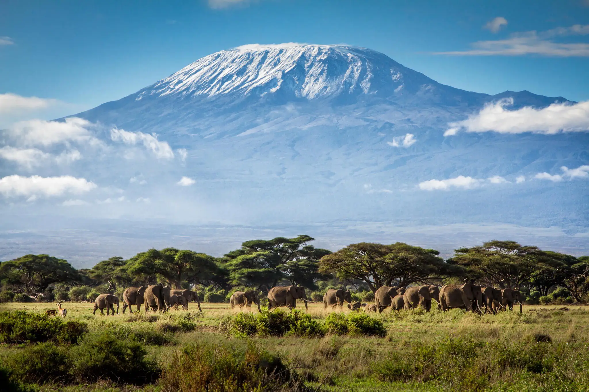 image_mount_kilimanjaro_safaris