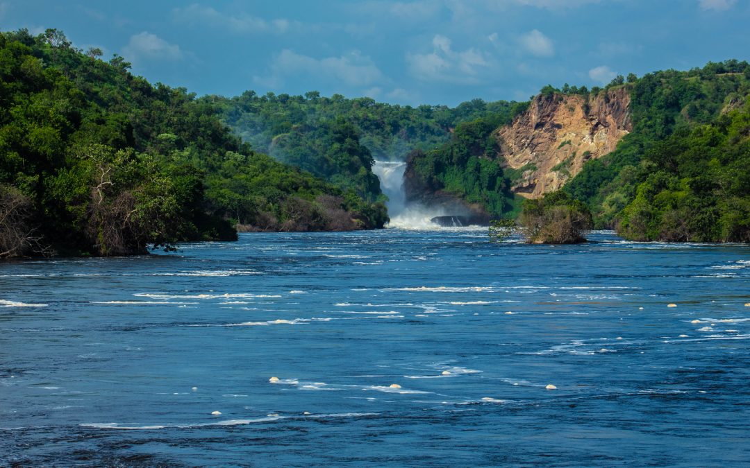 Murchison Falls National Park: Where the Nile Meets the Wild