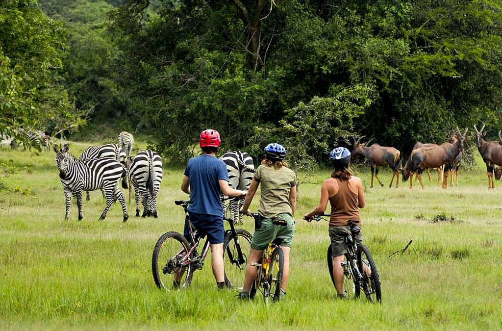 5-Day Queen Elizabeth and Lake Mburo Safari