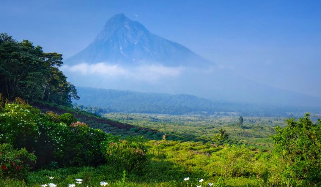 5-Day Virunga Gorillas and Nyiragongo Adventure