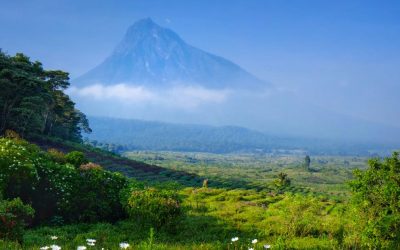 5-Day Virunga Gorillas and Nyiragongo Adventure